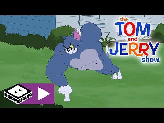 The Tom and Jerry Show | Tom The Gym Cat | Boomerang UK 