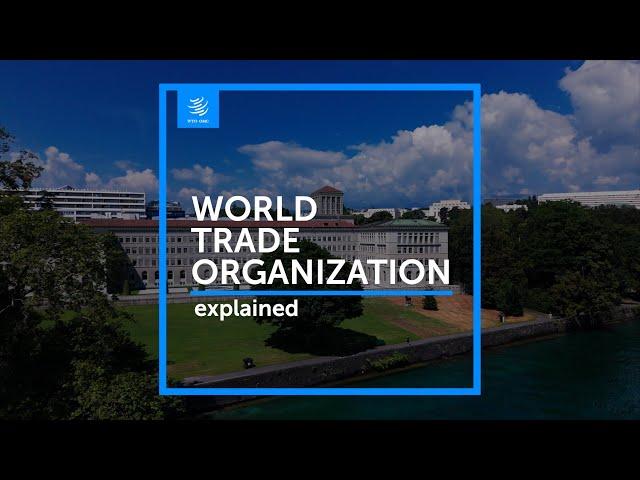 WTO explained