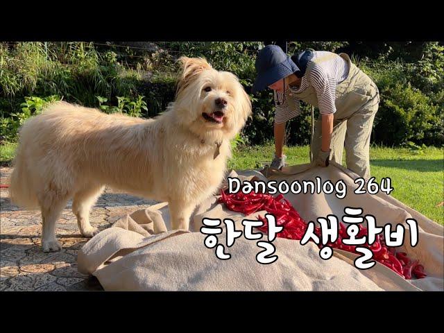 SUB 단순로그264 1인 귀촌 생활자 한 달 생활비 공개.vlog