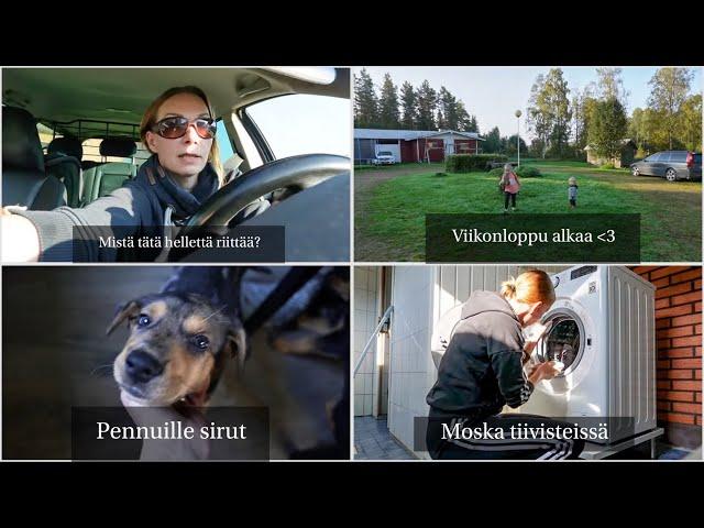 Pennuille sirut ja huh hellettä! ️ I Syyskuun 5.-6. 