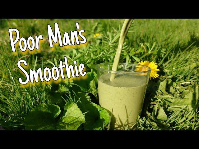 Poor Man's Smoothie - Foraging A Free Vitamin Drink 