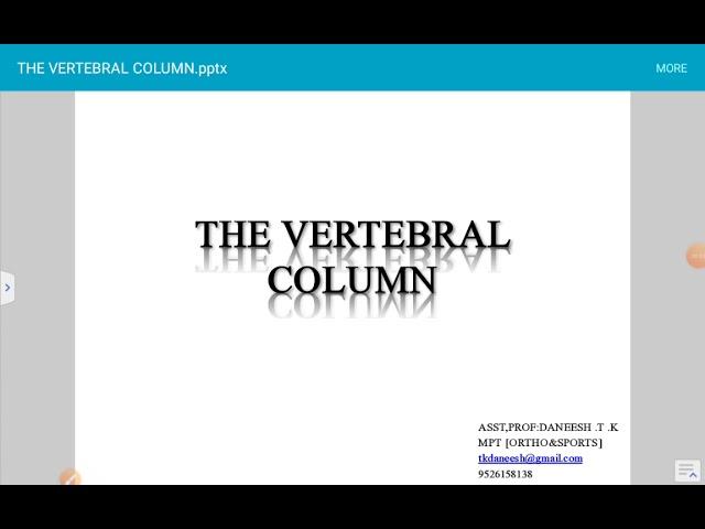 THE VERTEBRAL COLUMN - SESSION 1