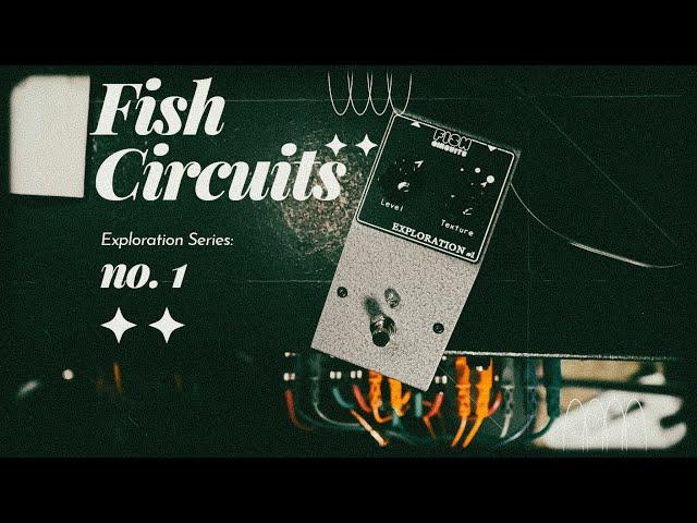 Fish Circuits Exploration Number One