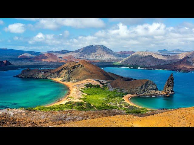 The Galapagos Island's Incredible Natural Habitat | Wild Galapagos