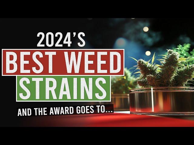 Unveiling 2024's Award-Winning Cannabis Strains!