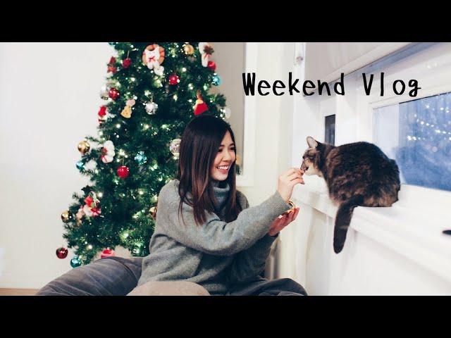 MBA Vlog 加拿大留學日常｜實習後的週末、開箱The Ordinary、沒有聖誕市集的Distillery District ｜Rotman MBA｜Study in Canada