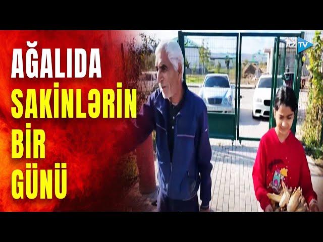 AzTV komandası Zəngilanda: Ağalıda sakinlərin bir günü necə keçir?