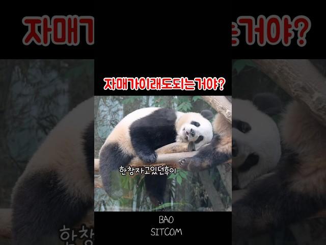 푸바오언니가서운해할거같은데,,?