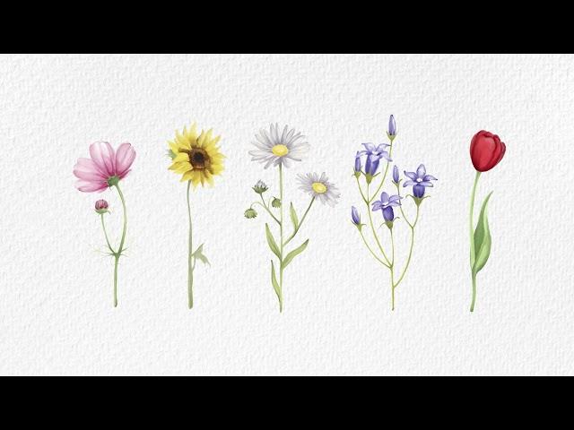 yung kai - wildflower (official audio)