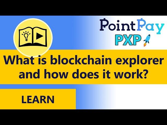 LEARN - What is blockchain explorer and how does it work?