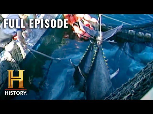 Modern Marvels: Catching MASSIVE Fish (S10, E65) | Full Episode