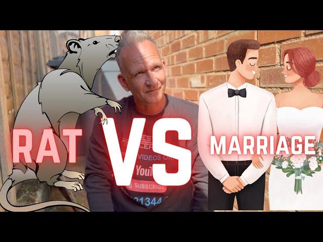 STOP RATS - SAVE MARRIAGE!!!