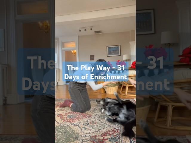 The Play Way! - 31 Days of Enrichment