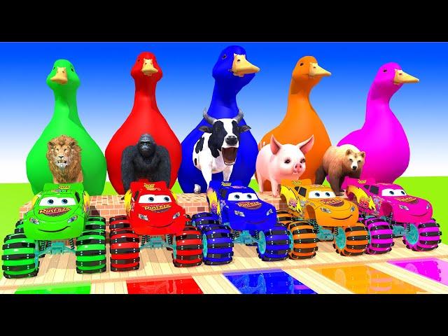 5 Giant Duck Cartoon,Tiger,Cow,Zebra,Kangaroo,Dog,Cat Wild Animals Crossing Fountain 2023