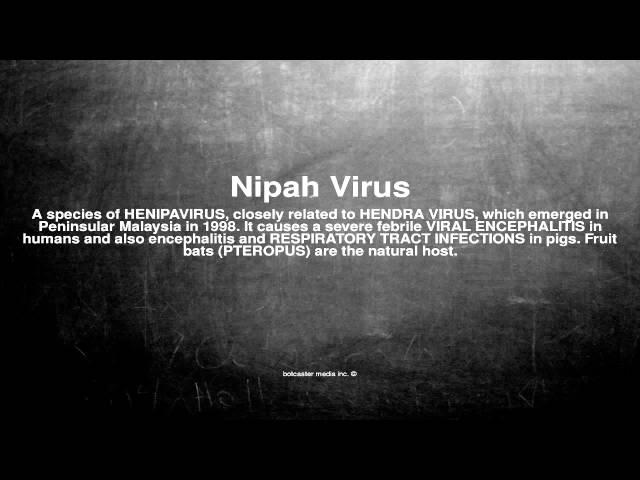 Medical vocabulary: What does Nipah Virus mean