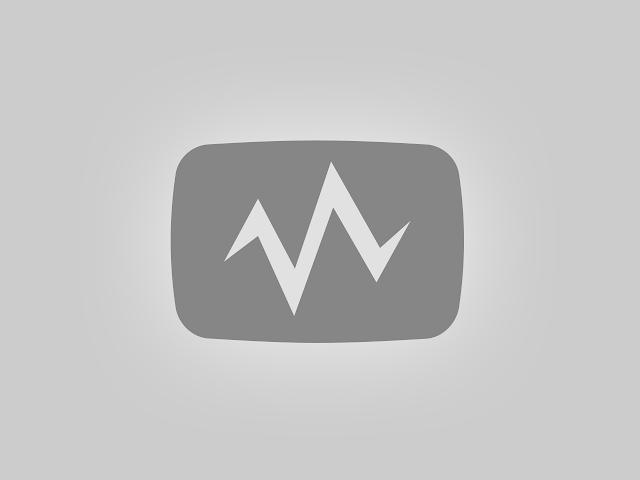 قناة المعالي الفضائية Live Stream