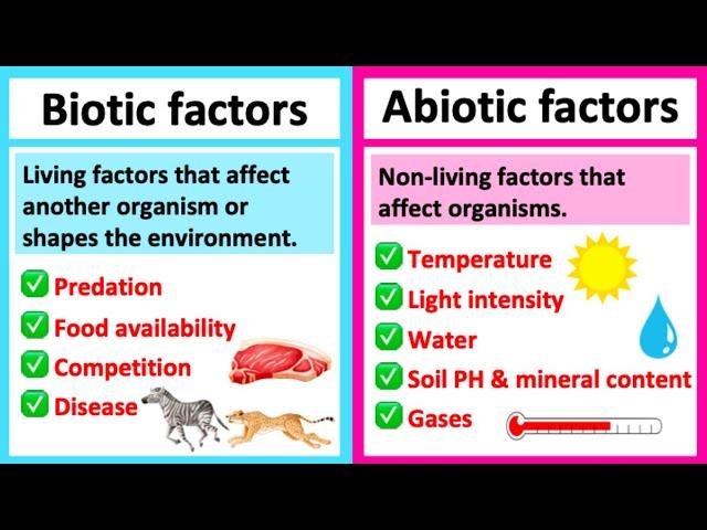 BIOTIC vs ABIOTIC | What's the difference? | Learn with examples