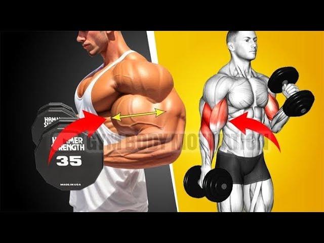 Biceps Workout - Effective Biceps Exercises At Gym | Biceps Exercise Tier List (Simplified of 2024