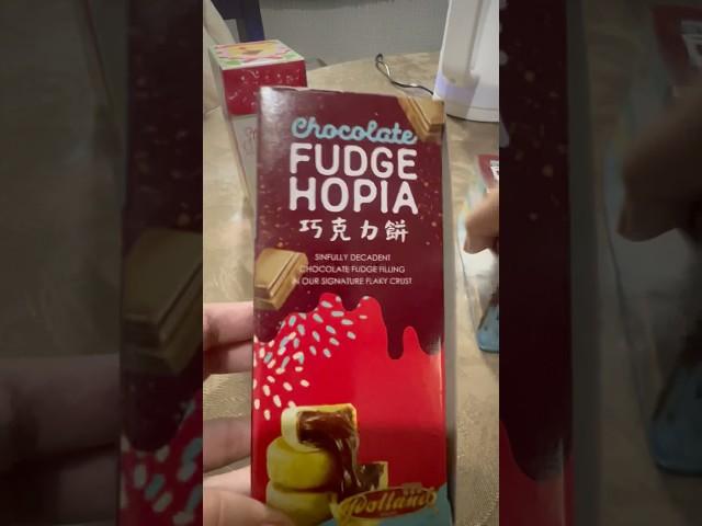 Polland Hopia Strawberry Cheesecake and Chocolate Fudge #fy #shorts #hopia #pollandhopia #polland