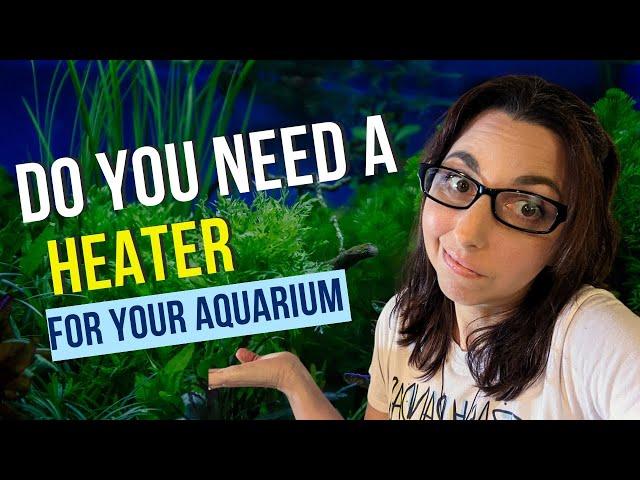 Do You Need An Aquarium Heater For Your Fish Tank