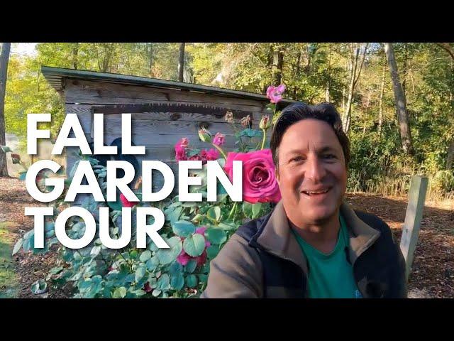 My Fall Garden!  Home Garden Tour | Grass Roots Gardening