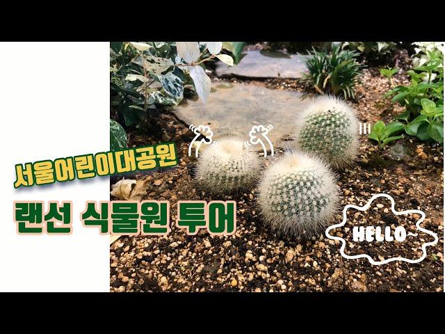 서울어린이대공원 식물원 랜선 투어