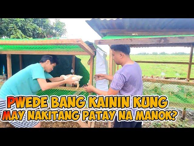 LIPAT BAHAY NAPO SILA