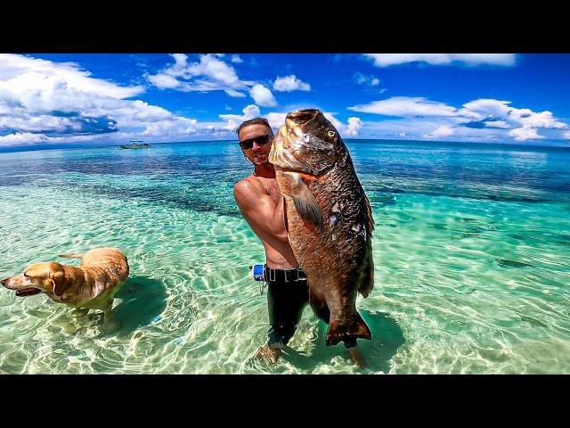 Spearfishing MASSIVE Cubera Snapper [Bahamas Polespear Fishing]