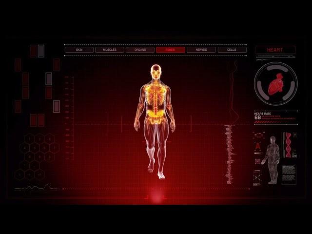 || THE QUANTUM BODY SCANNER || MORPHIC FIELD OF PERFECT HEALTH! MORPHIC FIELD