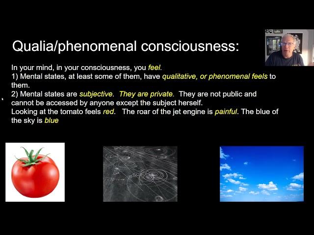 Consciousness, Divide and Conquer part 1