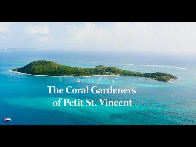 The Coral Gardeners of PSV short for Hatch Ocean Film Challenge