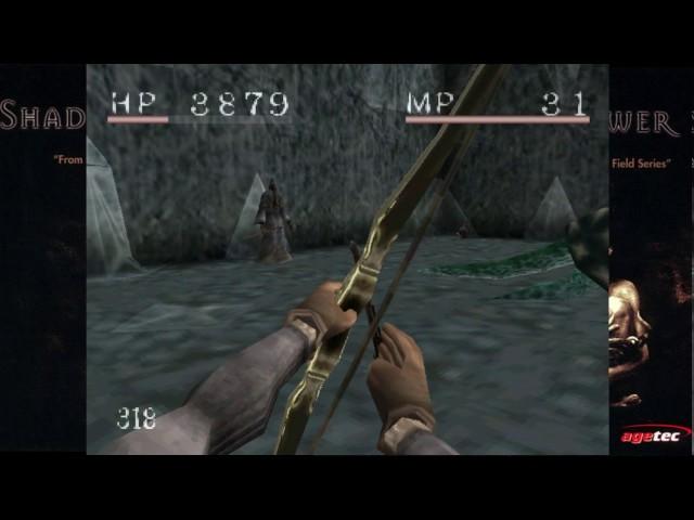 Shadow Tower: White Rain Area and Fourth Boss