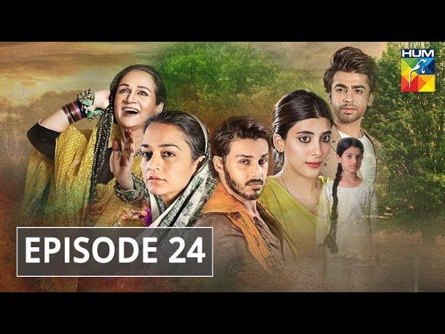 Udaari Episode 24 HUM TV Drama