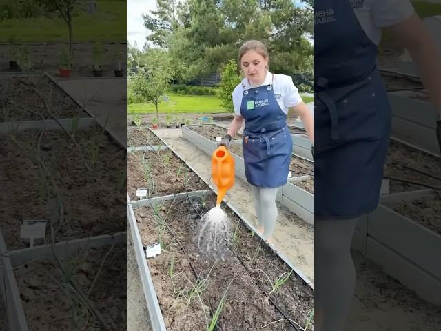 Сделайте сейчас для лука ТАК!