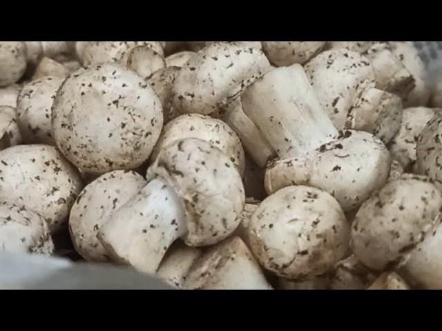 Healthy Veg Food                               #siddhi 's kitchen# shorts#yt shorts#viral #youtube