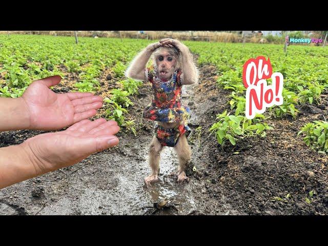 Kyo sneaks out to the fields to play and the ending is funny!