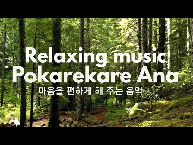 Relaxing music Pokarekare Ana #포카레카레아나 #pokarekareana repeat play 반복재생