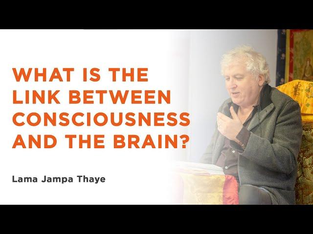 What is the link between consciousness and the brain?