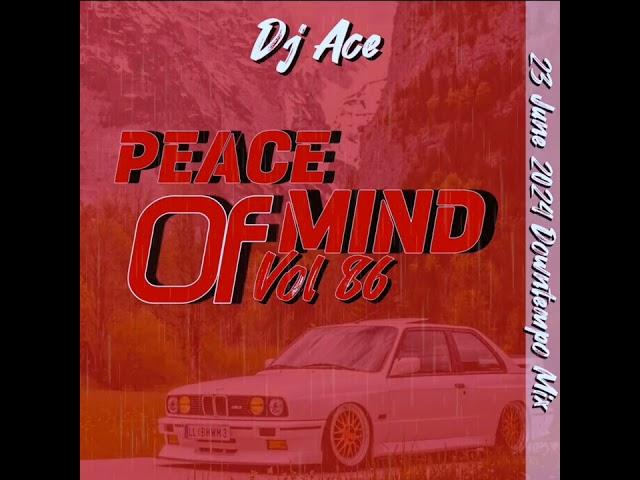 DOWNTEMPO MIX 2024 | 23 JUNE | PEACE OF MIND VOL 86 | DJ Ace ️