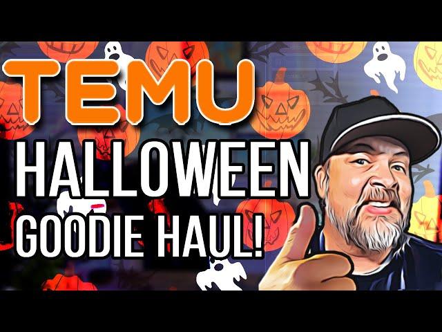 TEMU Halloween Haul 2024!