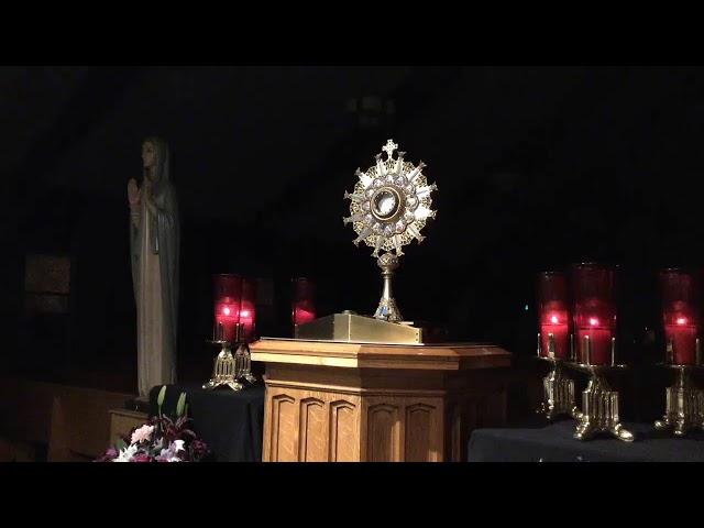 Diocese of San Jose Live Stream