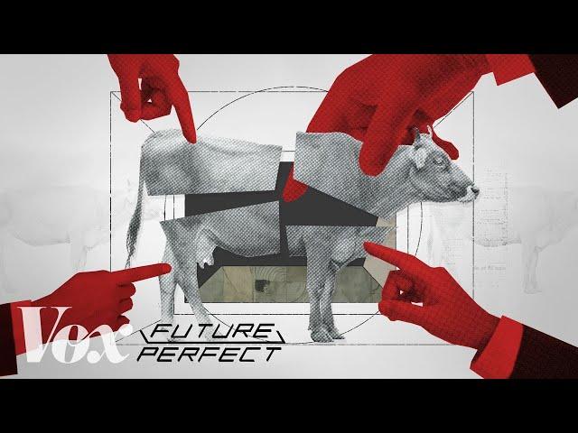 How 4 companies control the beef industry