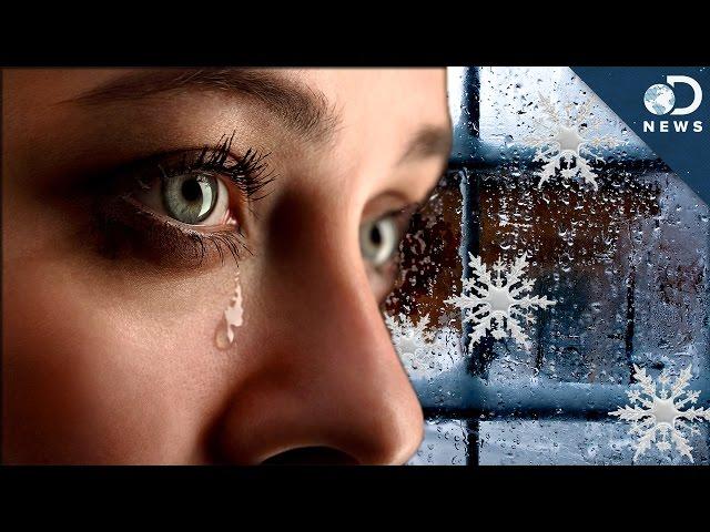 Why You're Sad In The Winter