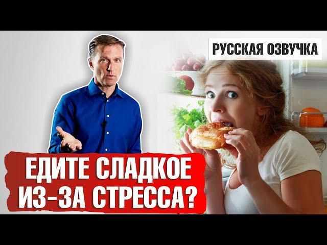 Хочется сладкого из-за стресса? Заедание стресса (русская озвучка)