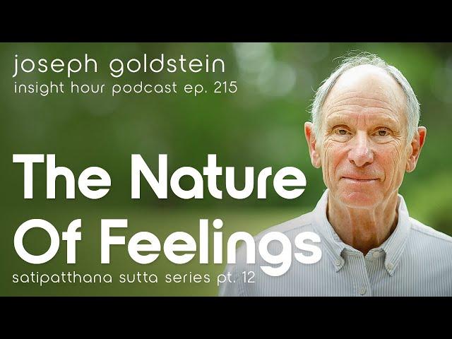 Mindfulness of Our Emotions – Joseph Goldstein's Satipatthana Sutta Series Pt. 12 – Insight Hour 215