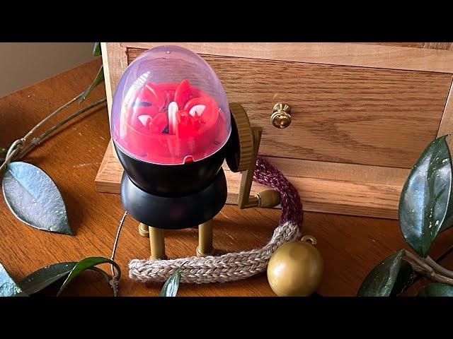 How To Use Your Addi Egg - I will show you how to use it and how to change colors! ️