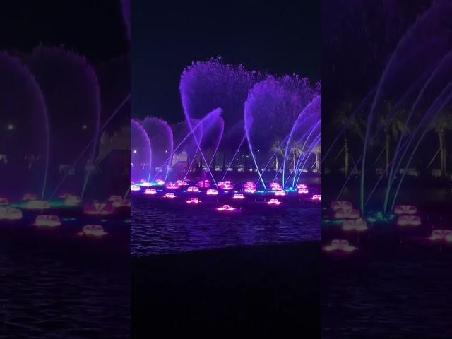 深圳歡樂港灣燈光秀「鯤鵬之夢”#shenzhen #lightshow #深圳好去處