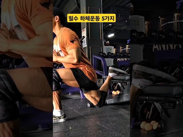 필수 하체운동 루틴 5가지
