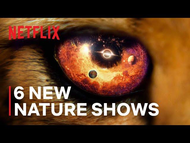 6 Mind Blowing New Nature Documentaries | Only on Netflix