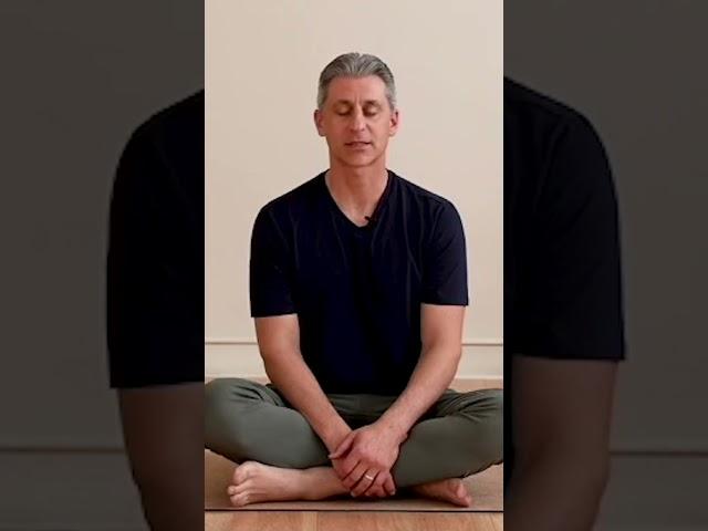 stop and breathe before asana |  Himalayan Institute